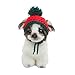 HBuir Handmade DIY Pet Dog Santa Hat Christmas Gifts for Cat
