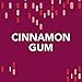 Orbit Cinnamon Sugarfree Gum, 12 packs (168 Pieces Total)