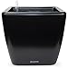 Window Garden Aquaphoric Self Watering Planter (11”) + Fiber Soil = Foolproof Indoor Home Garden. Modern Decorative Planter Pot for House Plants, Flowers, Herbs, Vegetables, Tropical. Easy
