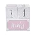 Baby Aspen My First Milestone Princess Age Blocks | Baby Picture Props for Photo Sharing The First Year