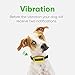 Dog Bark Collar – User Friendly No Shock Anti Bark Collar Device Auto System with 7 Modes Harm Free Shock Free and Super Effective Comes for Small Medium and Large Dogsthumb 3
