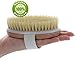 TopNotch Body Bath Brush - Long Handle Natural Bristles Wooden Bath Brushes - Detachable Head - Dry Skin Brushing eBook