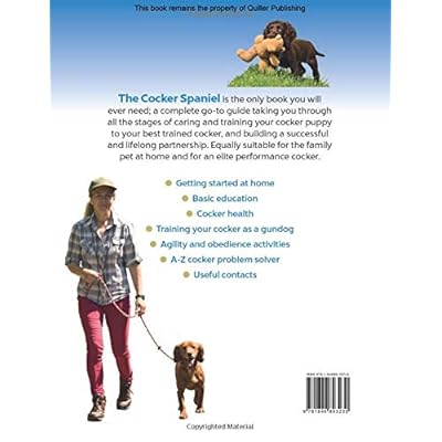 cocker spaniel leash training