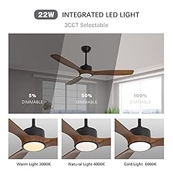 Wozzio 52 inch Indoor Outdoor Ceiling Fan with
