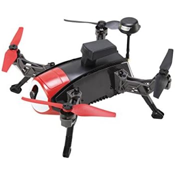 Amazon.com: RC Logger DroneArt Navigator 250 (RtF) Ultra-Portable FPV