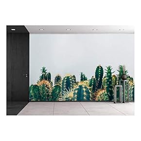 Green Cactus Against White Background - Removable Wall Mural | Self-Adhesive Large Wallpaper - 66x96 inches