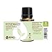 Rocky Mountain Oils Rosemary Essential Oil - Natural Aromatherapy Essential Oils for Diffusers, Topical, and Home - 15ml