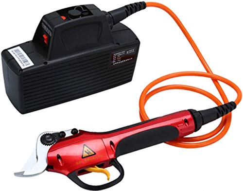 RENXR Wiederaufladbare Astschere Verlängerungsstange Mit Cordless Secateurs Leicht Prune Schneidemaschine Elektrisch…