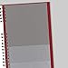 Brownline 2020 CoilPro Daily Planner, Hard Cover, Red, 13.5 x 7.875 Inches (C551C.Red-20)