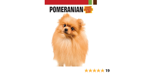 pomeranian amazon