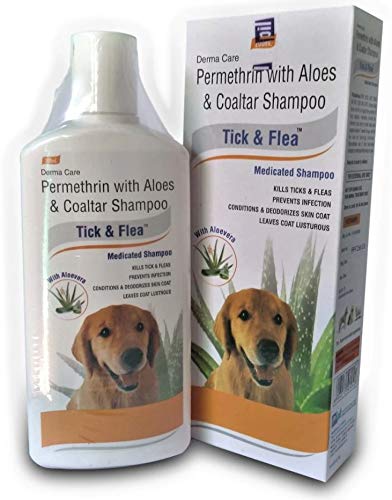 medicated flea and tick shampoo
