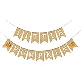Rainlemon Jute Burlap Little Pumpkin Banner Fall Autumn Baby Shower Diaper Party Birthday Party Garland Decoration