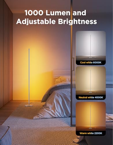Govee LED Floor Lamp RGBIC, Work with Matter and Alexa, Silver | 61 Scene Modes and 8 Music Sync Modes, Modern Corner Lamp, Dimmable Mood Lighting Ideal for Living Room, Bedroom, 1 Pack
