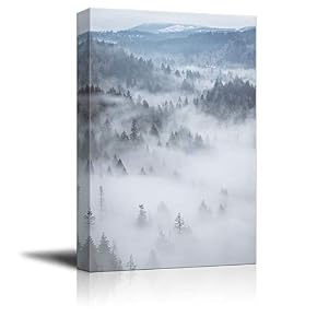Forests Covered by Fog