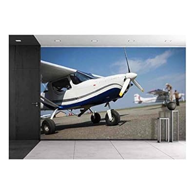 Small Airplane - Removable Wall Mural | Self-Adhesive Large Wallpaper - 100x144 inches