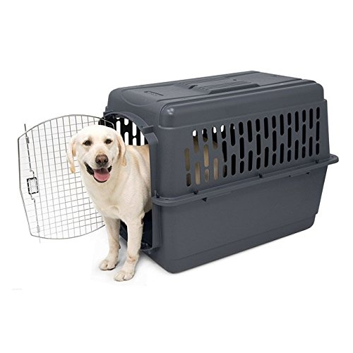 petmate pet porter 2