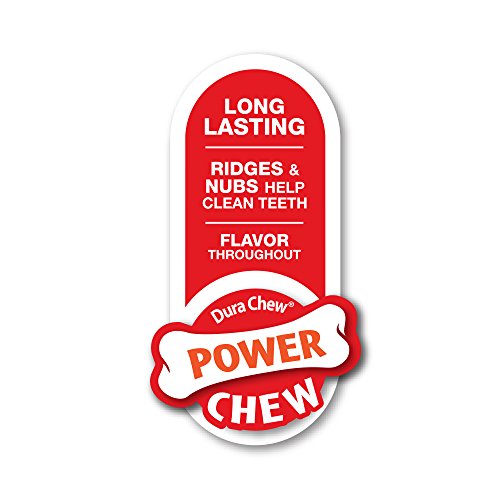 Nylabone Power Chew DuraChew Bacon Bone Dog Chew Toy, X-Large
