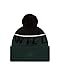 New Era NHL NE15 Sport Knit Beanie
