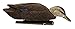 Topflight Black Duck Decoys: Realistic, Durable, and Motion-Activated Flocking (6 True-to-Life Postures)