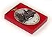 Famous Gapstow Bridge Central Park Collectible 3 x 2 1/2 inch New York Christmas Ornament - from Christmas in New York Collection Double Sided with Glitter