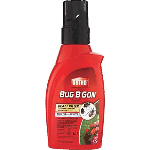 Ortho Bug B Gon Insect Killer for Lawns and Gardens Concentrate (Kills