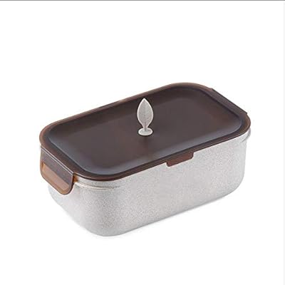 Bento Box A prueba de filtración de acero inoxidable caja de almuerzo con el bolso for