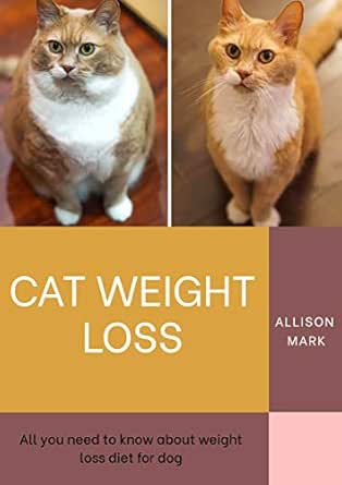 cat weight loss plan