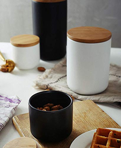2 Ceramic+Dispenser+Container+Seasoning+Condiment