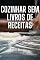 Livro Cozinhar sem livros de receitas: Noções básicas de culinária