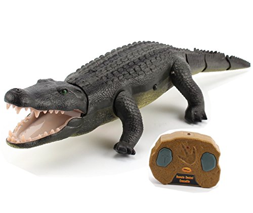 Top Race Remote Control Crocodile, Prank Crocodile RC Animal Toy, Looks Real Feels Real Roars and Moves Like a Real Crocodile (TR-Croc)