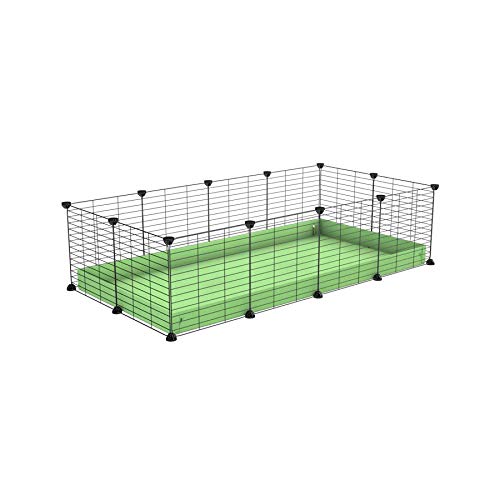 C&C Cage for Guinea Pig C and C 4x2 by KAVEE Green coroplast in