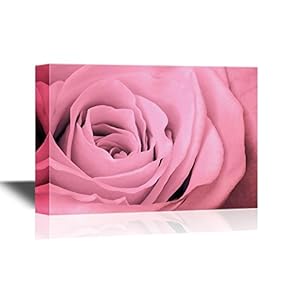 Floral Canvas Wall Art - Close Up of Pink Rose Petals - Gallery Wrap Modern Home Art | Ready to Hang - 12x18 inches