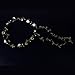 ReNext Rose Flowers Branch Festival Wedding Garland Head Wreath Crown Floral Halo Headpiece Photography Tool Adult Size (White and Green)