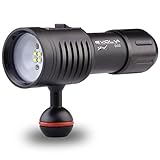 Evolva Future Technology D02 Scuba Diving Underwater 100M Video Camera Photography Light Torch Flashlight (Torch Only)