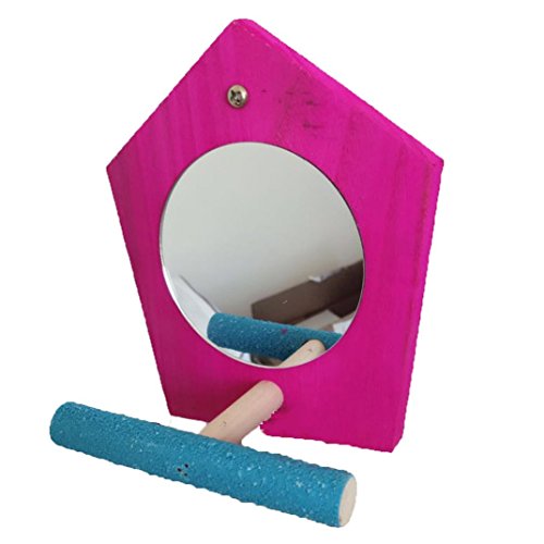 Buy Bird Parrot Mirror Toy with Perch Parrot Parakeet Budgies Cockatiel