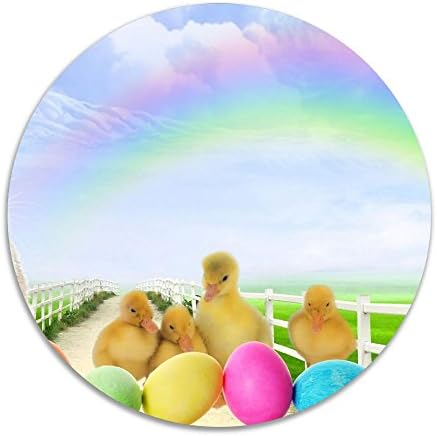 Rainbow Eggs And Duck Coral Velvet Round Area Rug Soft Office Chair And Car Seat Cushion Room Indoor Or Outdoor Mat