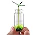 AS - 48Pack 10ml Glass storage bottle - Message Weddings Wish Jewelry Pendant Charms Kit Party Favors.