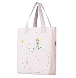 Andes Original Canvas Purse, Casual Multi Pocket Tote Bag for Daily Use, The Little Prince