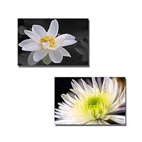 Canvas Prints Wall Art - White Chrysanthemums and White Lotus | Modern Wall Decor/Home Decoration Stretched Gallery Canvas Wrap Giclee Print & Ready to Hang - 16"x24" x 2 Panels