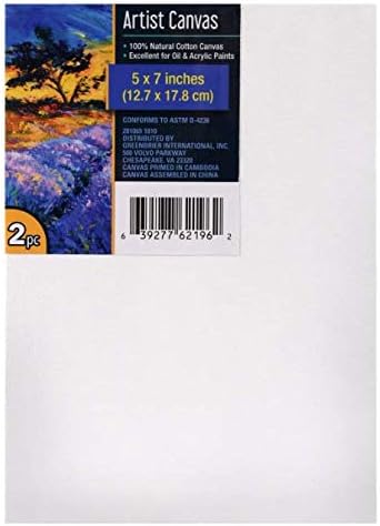 Four (4) Canvases for Painting - 2 Stretched and 2 Artists Canvas