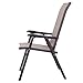 Giantex Set of 2 Patio Dining Chairs, Folding Patio Chairs, 2 Pack Sling Outdoor Chairs, Portable Lawn Chairs for Camping Deck Garden Pool Beach, Metal Frame