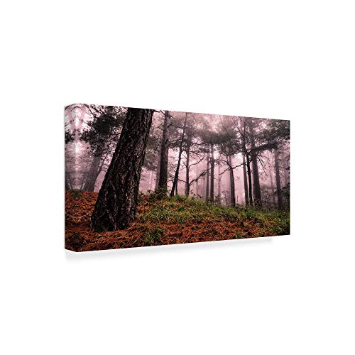 Trademark Fine Art Mountain & Trees by Giuseppe Torre, 24x47