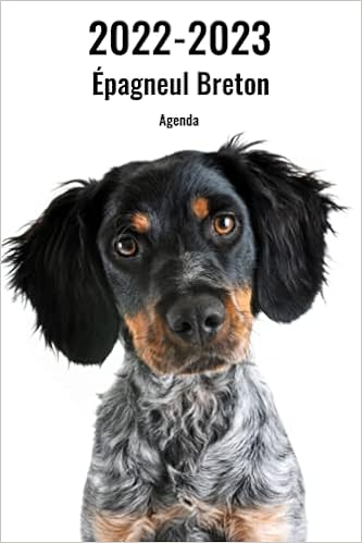 Calendrier Breton 2023 2022-2023 Épagneul Breton Agenda: A5, 221 Pages | Planificateur &  Organiseur | Calendrier | Une Double Page Par Semaine | Journal | En  Francais | Chien | Amazon.com.br
