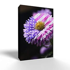 US Flag on Flower
