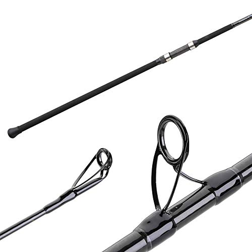Shimano eclipse surf rod 15ft Clearance