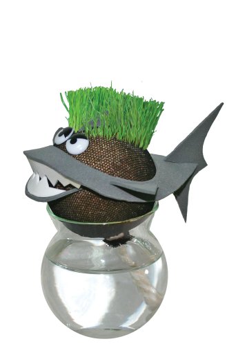 Grow-A-Head Marine Life Shark
