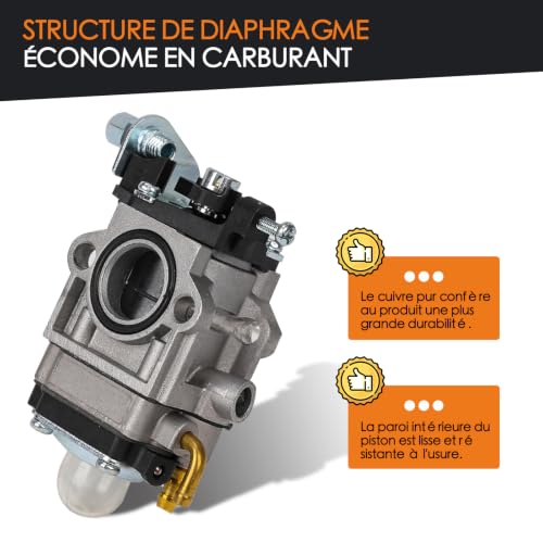 Carburetor for 52cc 49cc 43cc Brushcutter, Complete Accessory Kit Included, Fits a Wide Variety of Lawn Mowers, Brushcutters and Chain Saws
