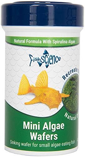 FishScience Mini Algae Wafers 110g, 100 g (Pack of 1)