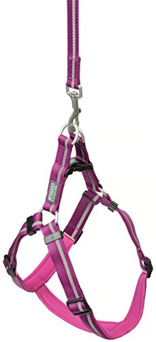 Terrain D.O.G. Reflective Neoprene Lined Dog Harness, small, Purple