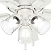 Hunter Fan Company, 52152, 42 inch Crestfield Fresh White Low Profile Ceiling Fan with LED Light Kit and Pull Chain